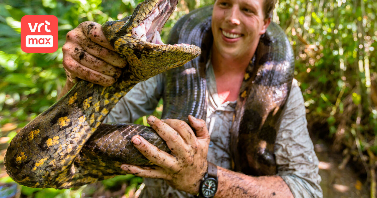 Freek in het wild | VRT MAX