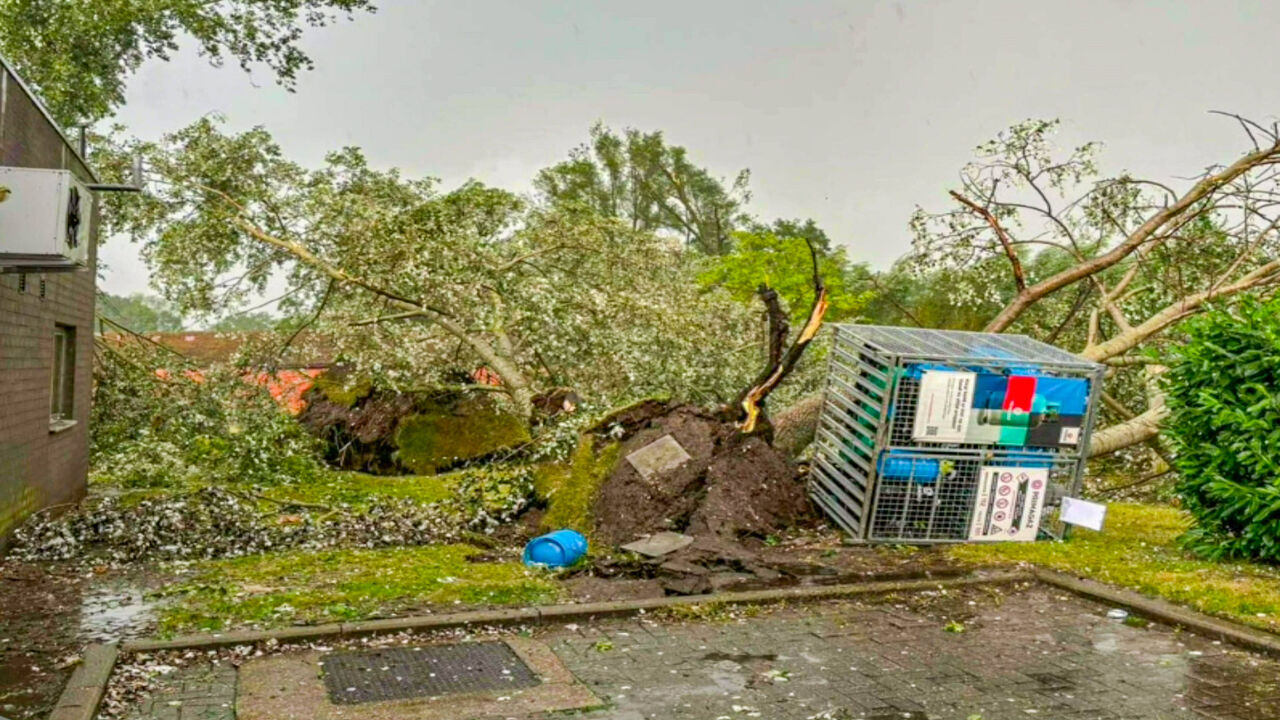 Ook Brusselaars werden gisteren niet gespaard. Ook Brusselaars werden gisteren niet gespaard.