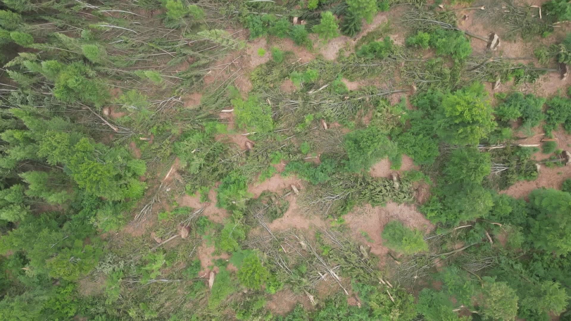 Hoe Uitzonderlijk Is Een Windhoos Of Tornado In Ons Land? En Valt Dat ...