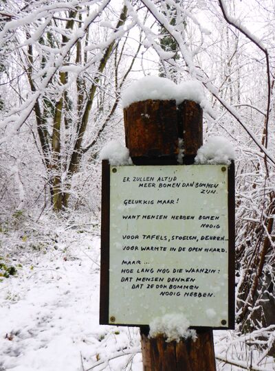 Sneeuwbom(m)en