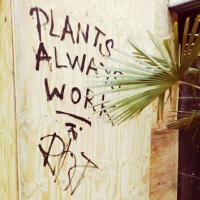 Plants