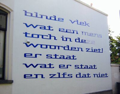 Blinde Vlek