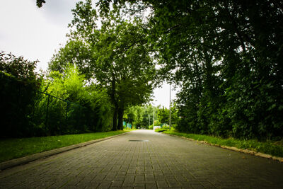 De Paalvennestraat