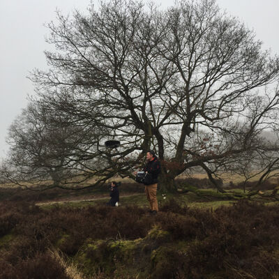 Op het Balloërveld