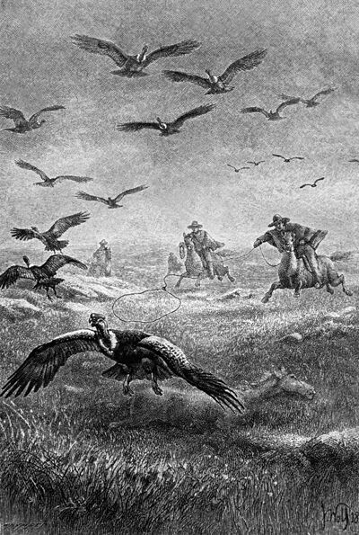 Jacht op inheemse vogels in de Andes