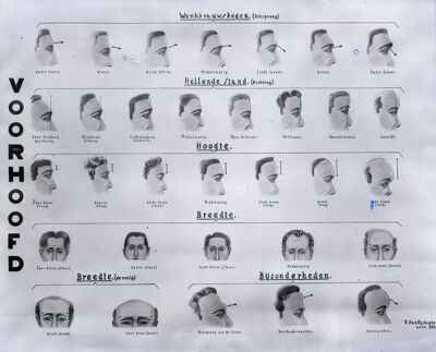 Tekeningen van voorhoofden als hulpmiddel bij een identificatie