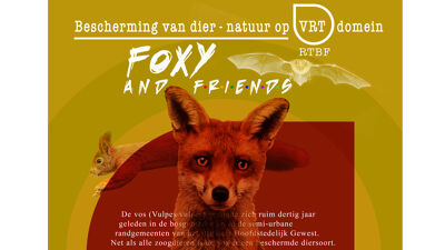 Foxy and Friends, een werkgroep binnen de VRT die begaan is met 'onze vossen'