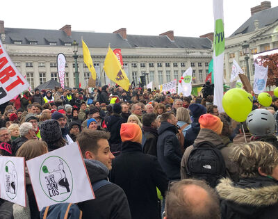 5 december: iedereen VRT op het Martelarenplein