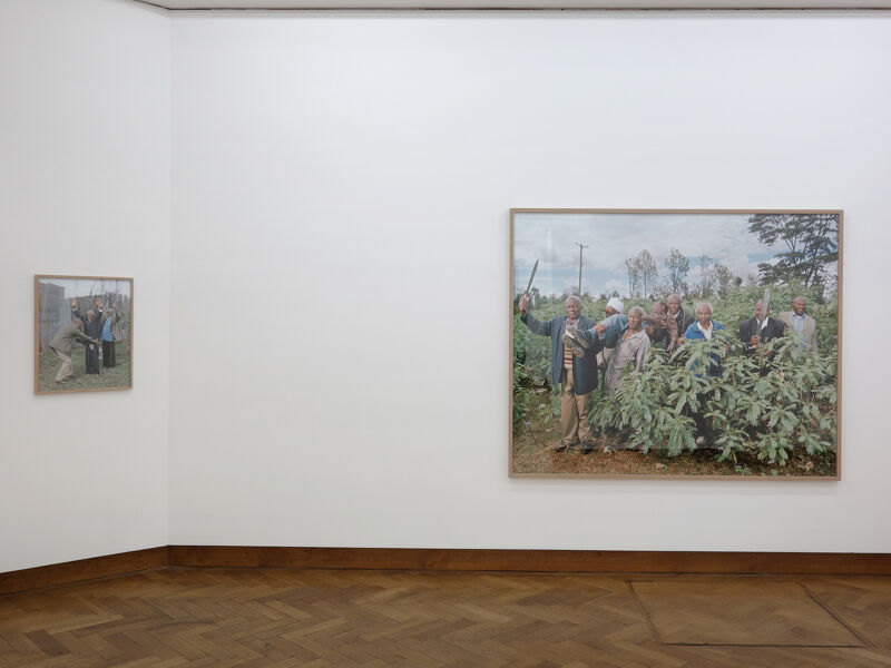 from the series "The Struggle for Freedom in "________", 2015