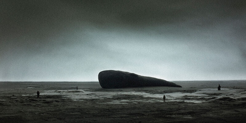 "Whale"
