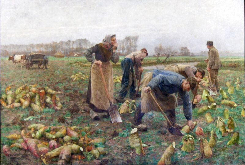 'De Bietenoogst' van Emile Claus dat in het museum van Deinze en de Leiestreek hangt, bestaat dit jaar 125 jaar.