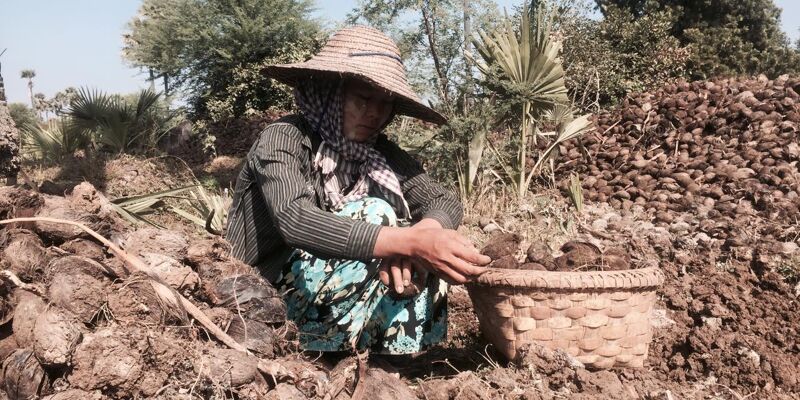 Het verarmde platteland van Myanmar wordt aan zijn lot overgelaten.