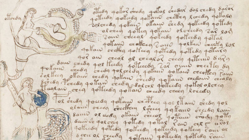 Voynich Manuscript: biologische tekening