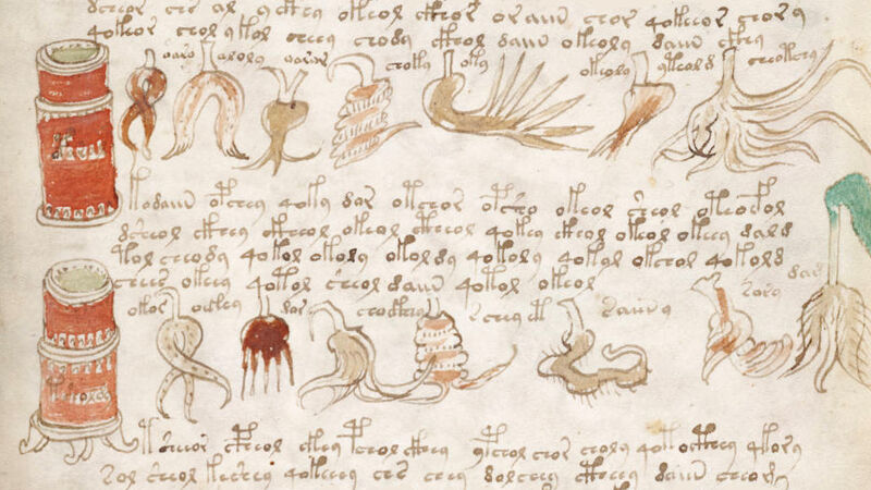 Voynich Manuscript: pharmacologische afbeelding