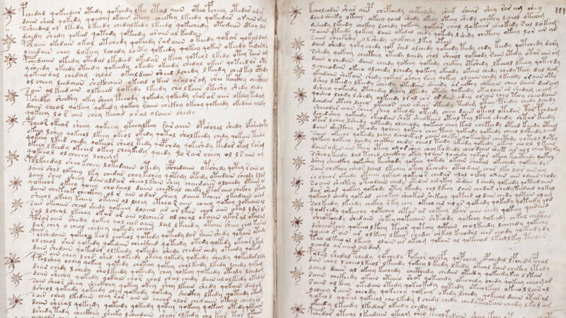 Voynich Manuscript: tekstpagina's