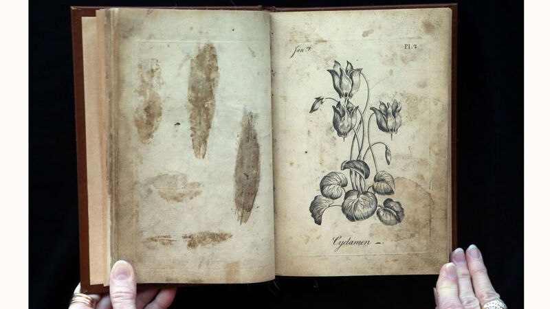 Duidelijke sporen van gedroogde planten in 'The Florist'