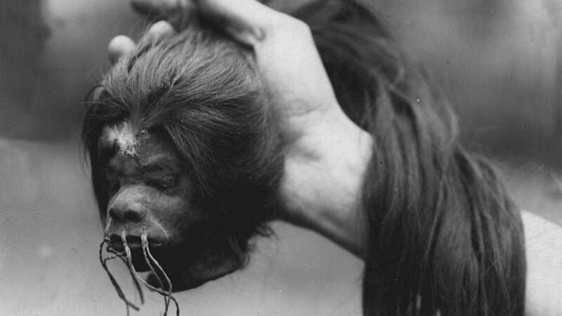 Beeld uit 'Au pays du scalp'