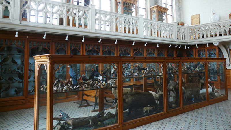 Museumzaal