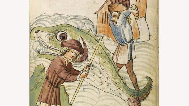 Vangst van een dolfijn in een rivier