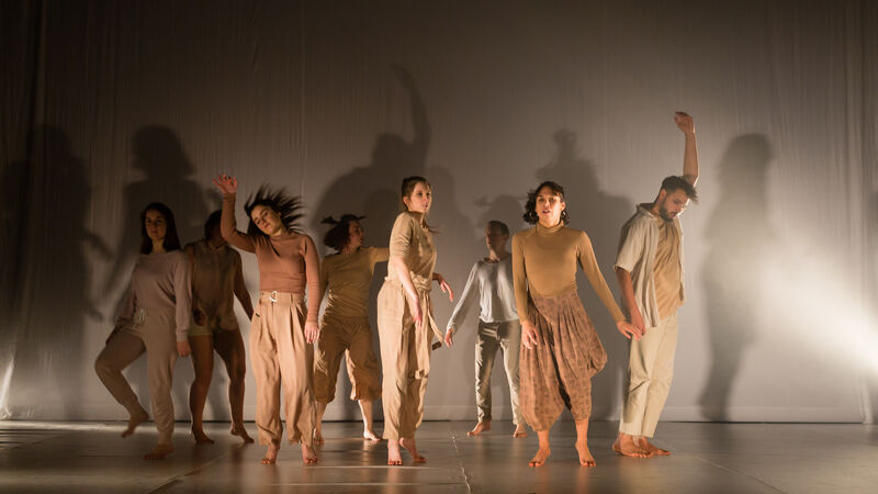 Dansschool Dance-Control in 'Vleeshoop'