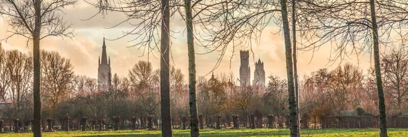 De skyline van Brugge