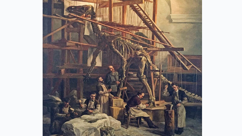 Opbouw van het geraamte van een iguanodon in Brussel (1882)