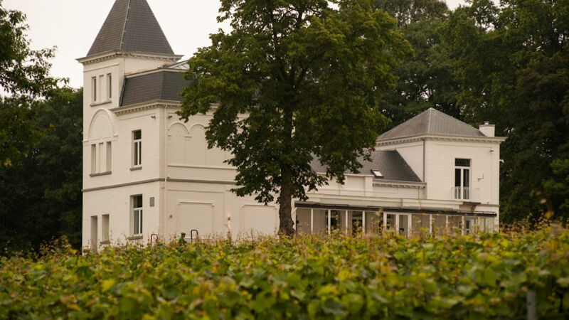 Het wijnkasteel Haksberg tussen de wijngaarden