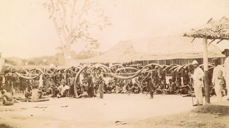 Ivoorhandel in Congo-Vrijstaat, foto uit 1892