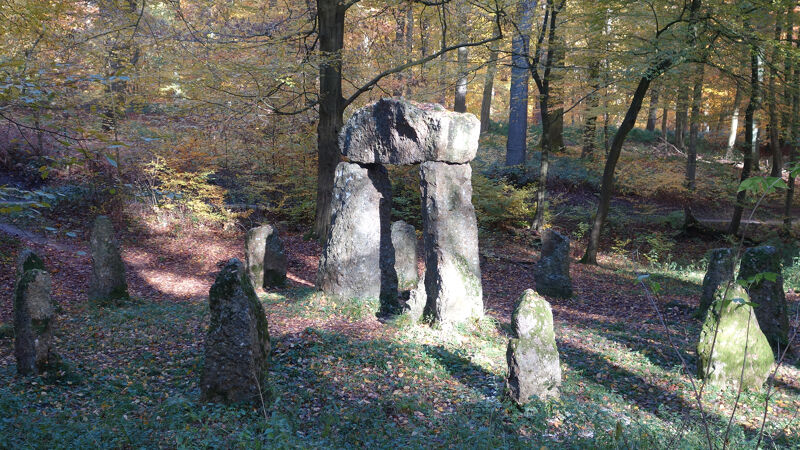 Megalieten in het Zoniënwoud