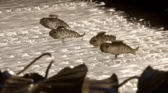 Detail van de visjes tussen de draaiende glazen cilinders