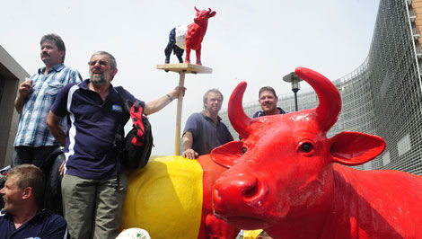 Farmers demonstrate for better milk price | VRT NWS: news