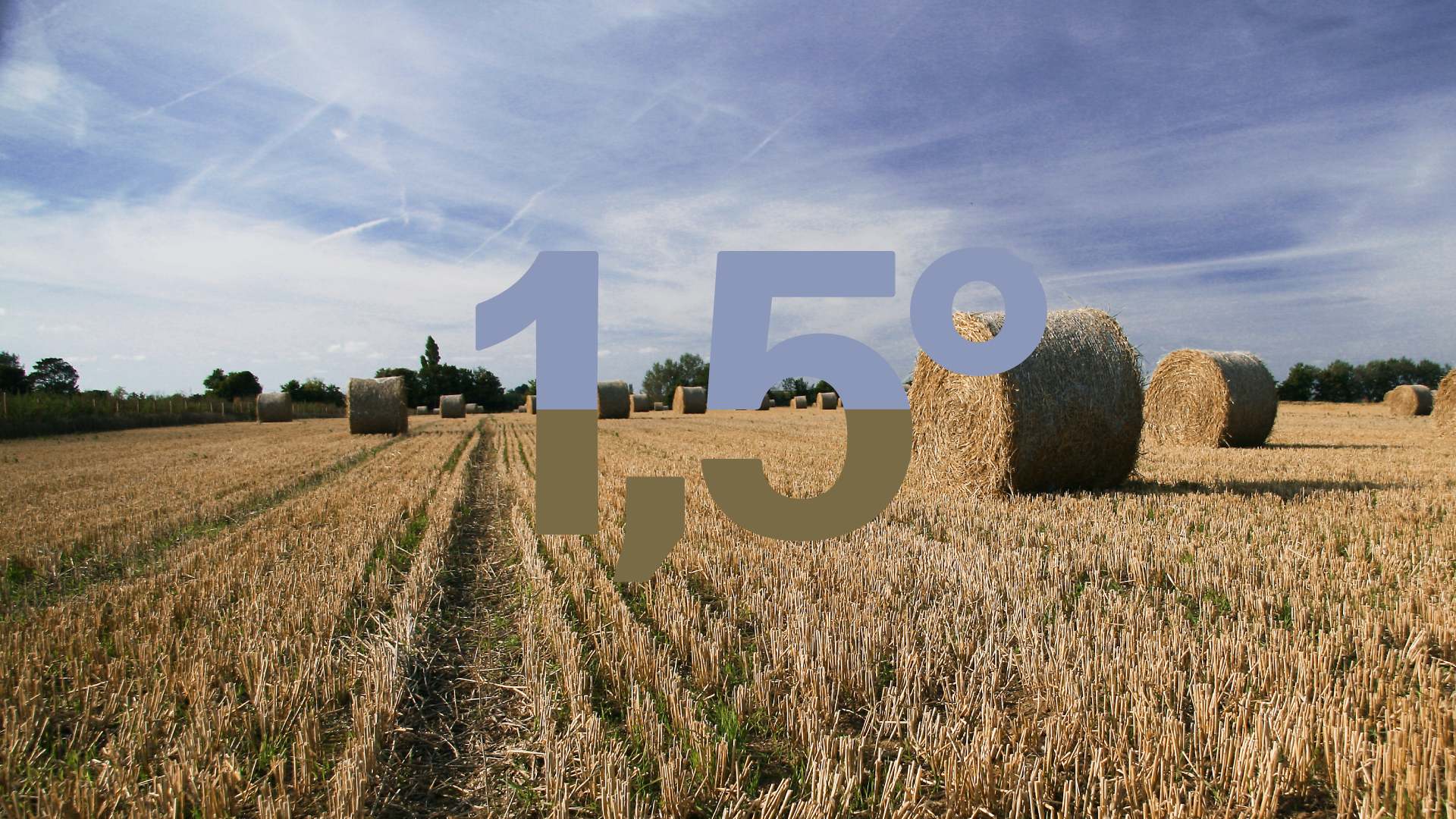 1,5 graad Celsius: is onze landbouw klaar voor de gevolgen van de  klimaatopwarming? | VRT NWS: nieuws