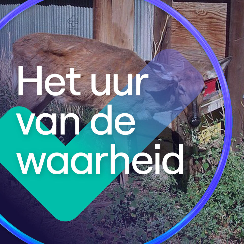 hey-lekkere-meid-chat-je-ook-met-iets-ouder-hoe-veilig-zijn