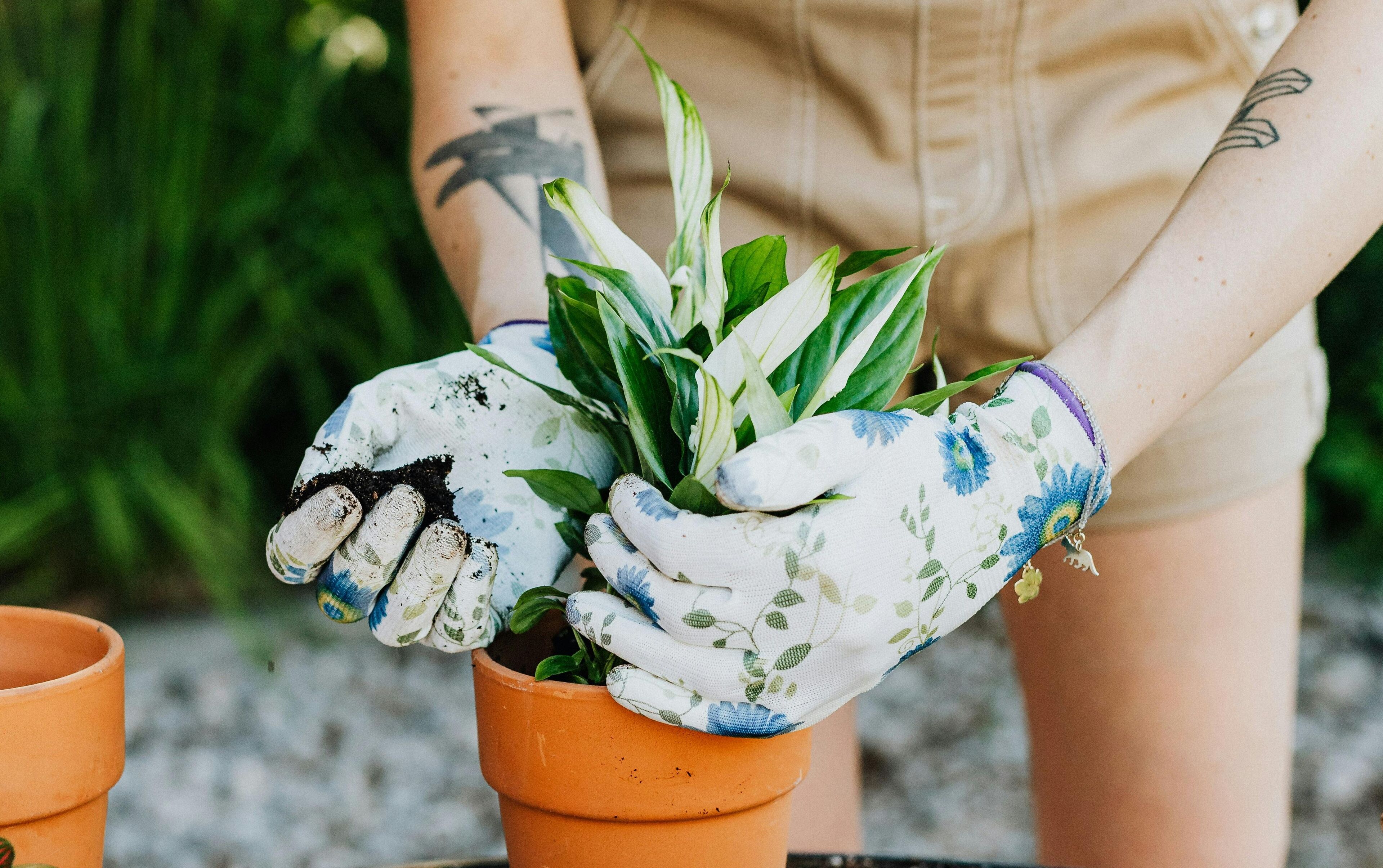 bleekwater op terras