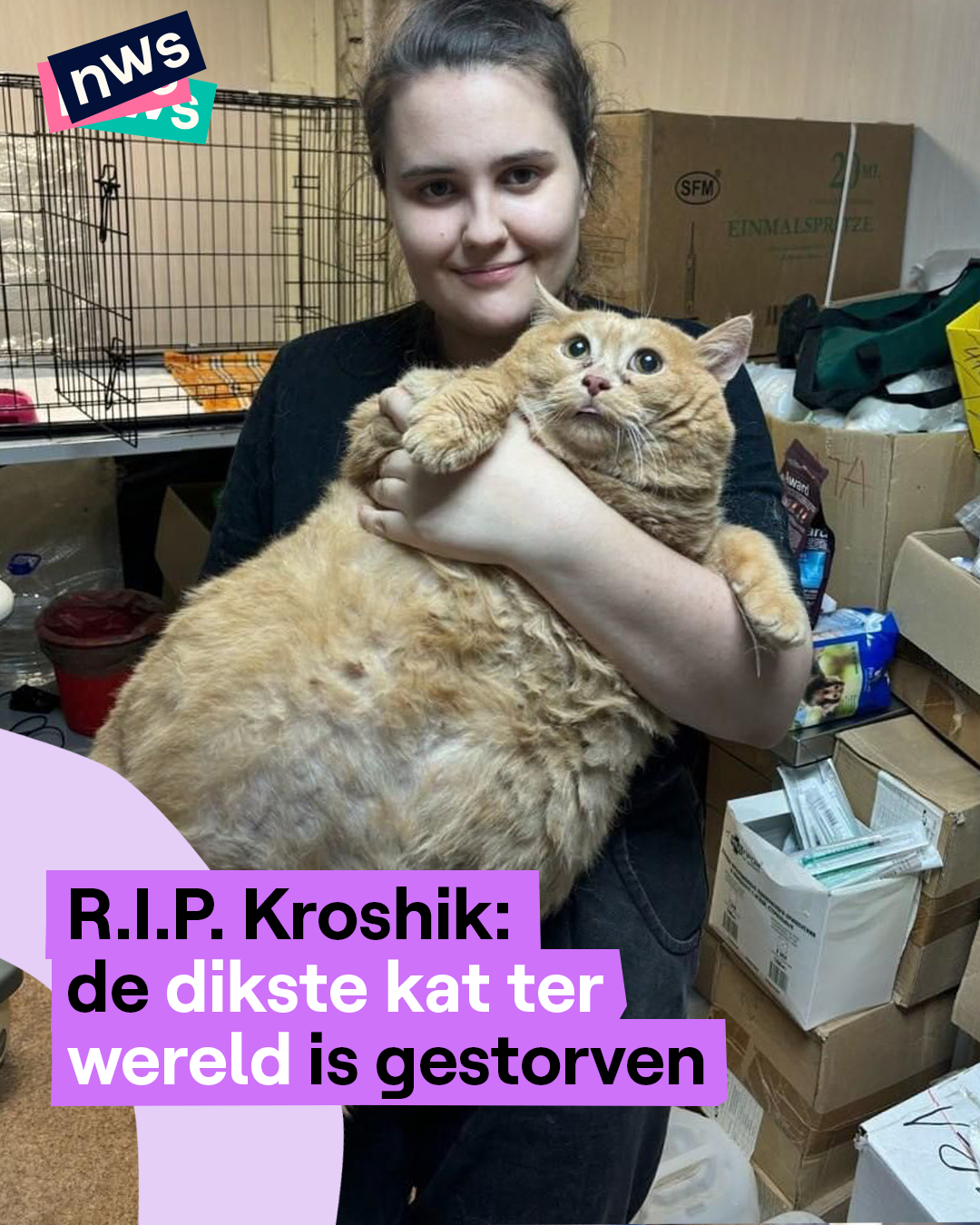 Kichkina Masha va katta sik Kichkina Masha va katta sik