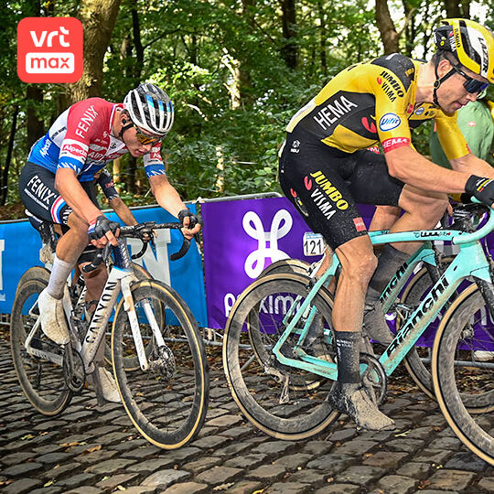 Tom Steels: "Van Aert moet leren leven met zijn nieuwe status"