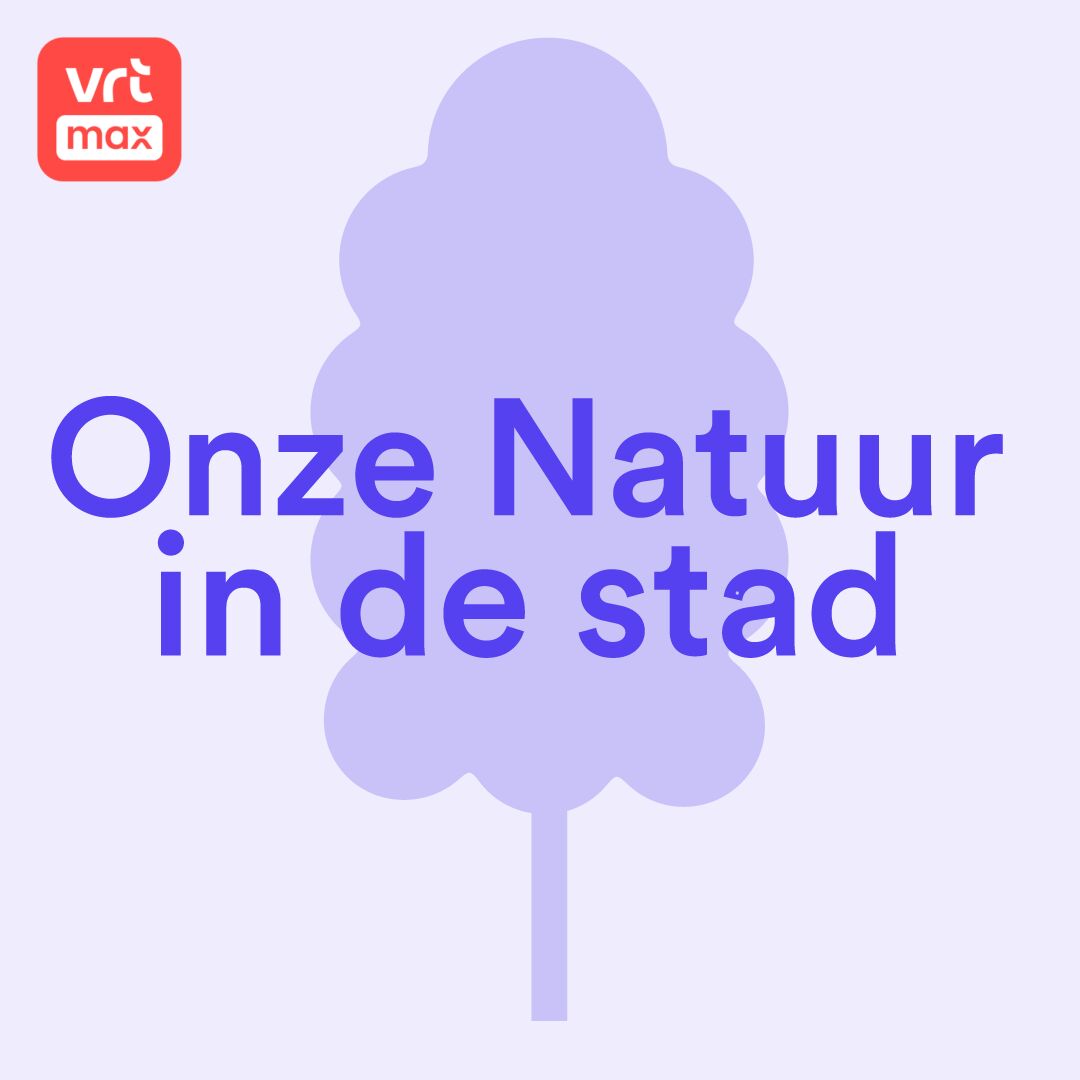 3. Waarom we opnieuw van bomen moeten leren houden. 3. Waarom we opnieuw van bomen moeten leren houden.