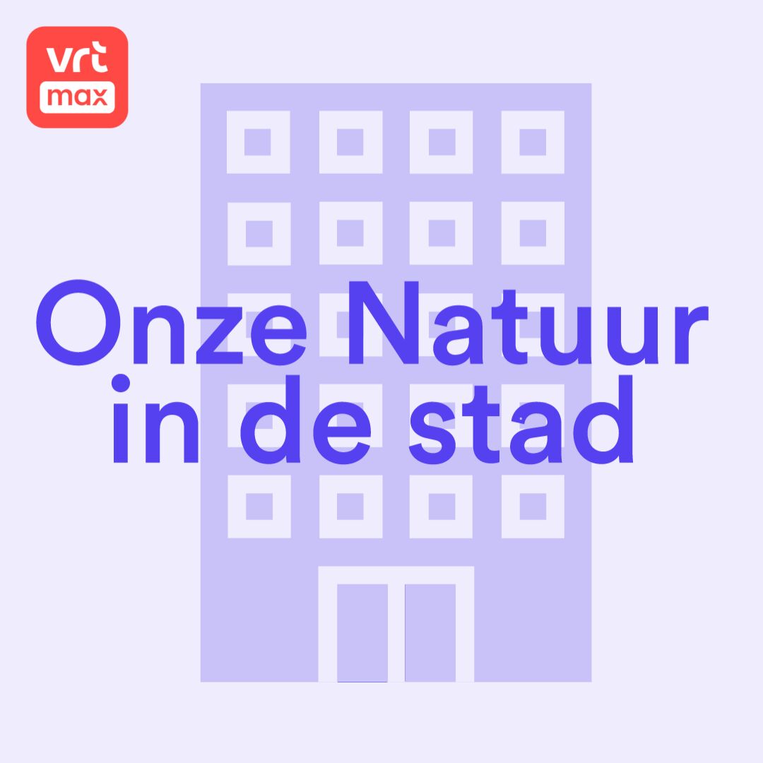 1. Hoe brengen we de natuur terug in de stad?