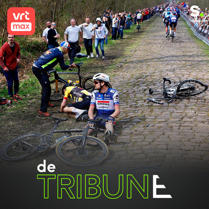 Stijn Steels: "In het Bos van Wallers worden carrières verwoest"