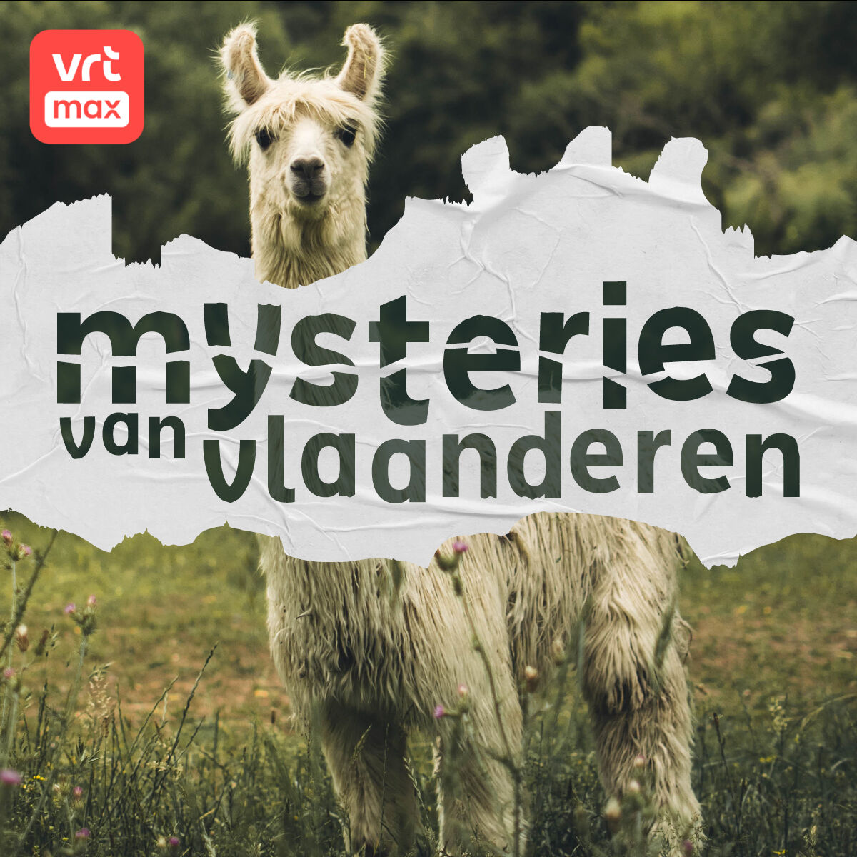 Wat deed een Limburgse lama op de Nobelprijsuitreiking? episode artwork