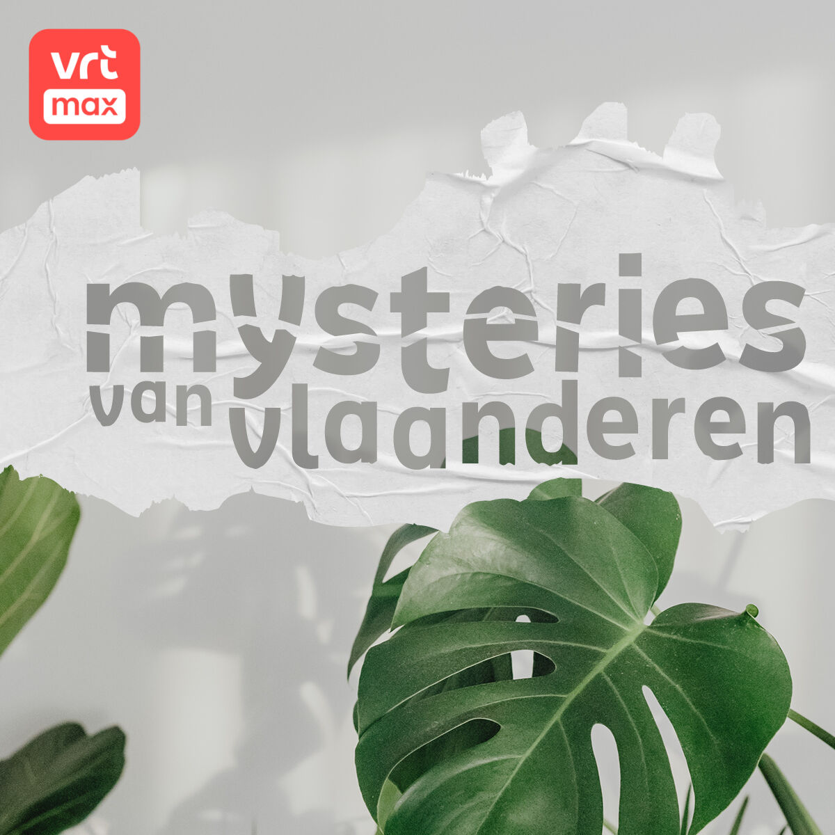 Over de Mexicaanse plant met de Vlaamse familienaam episode artwork