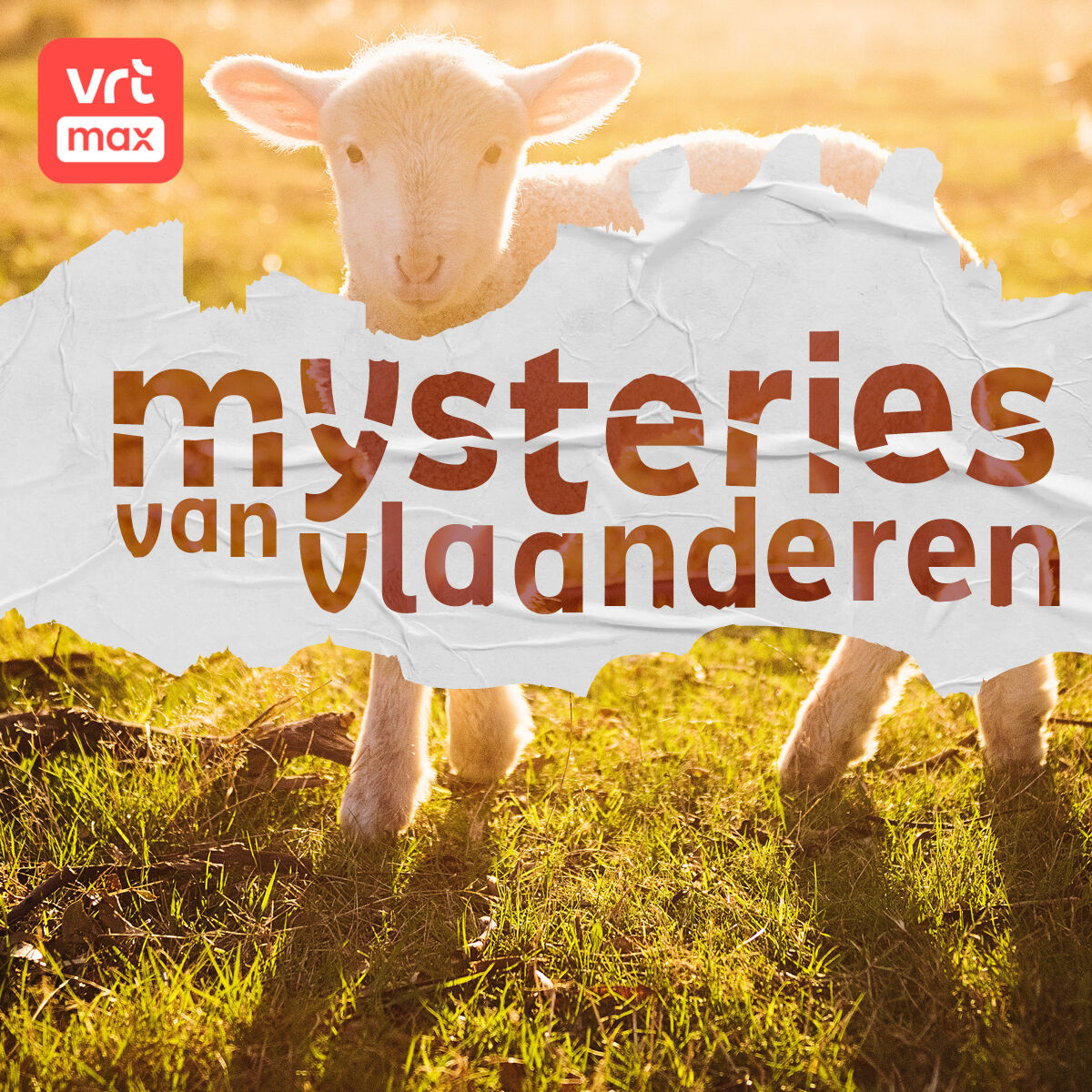 Waarom staat er een lam op de kerk van Wingene? episode artwork