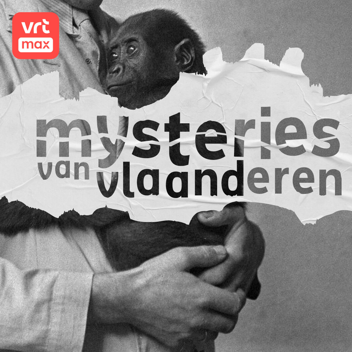 Waar is Gorilla Gust?
