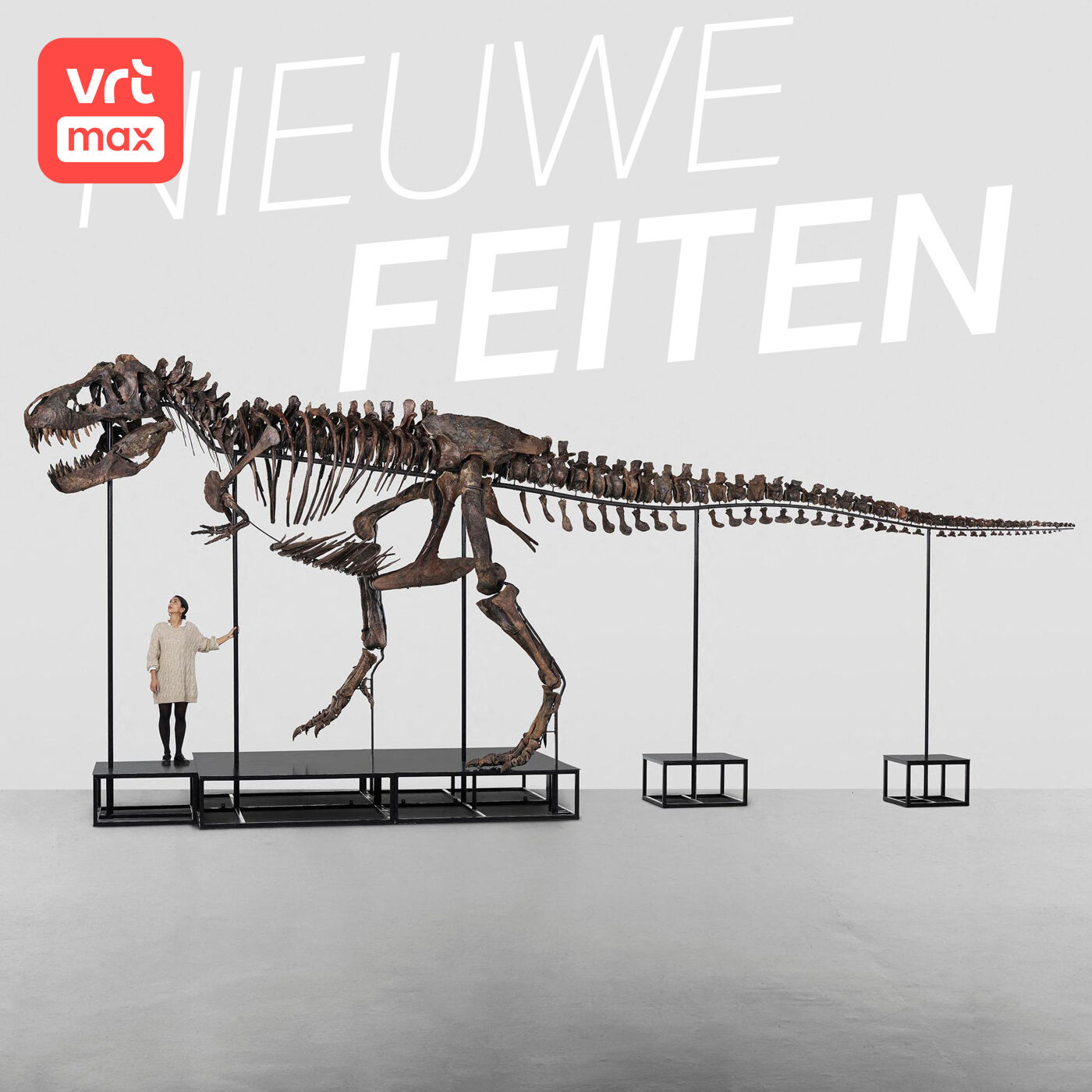 Tyrannosaurus rex voor 8 miljoen euro te koop