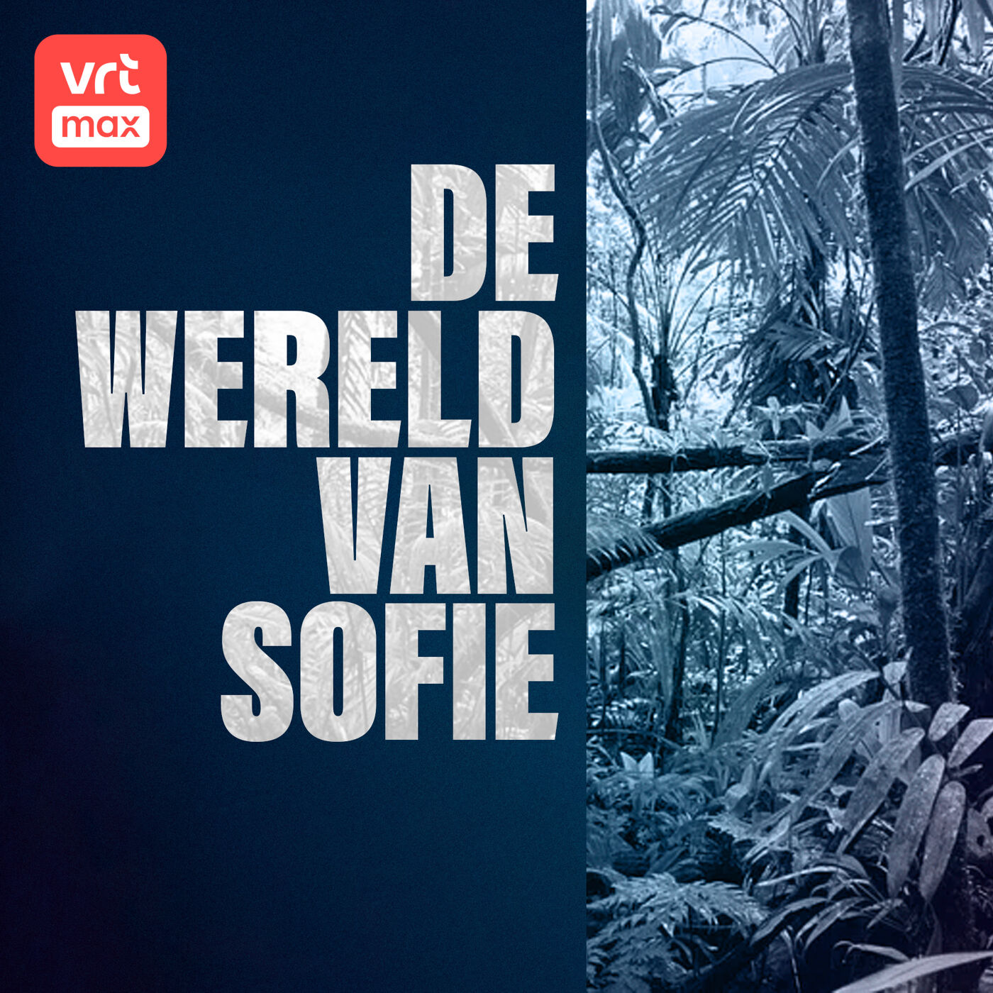 Het wonder van Colombia
