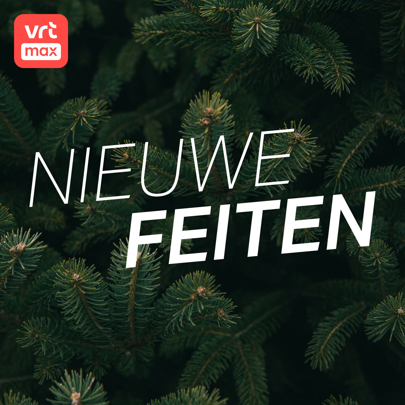 Leverancier Oudenaardse kerstboom reageert