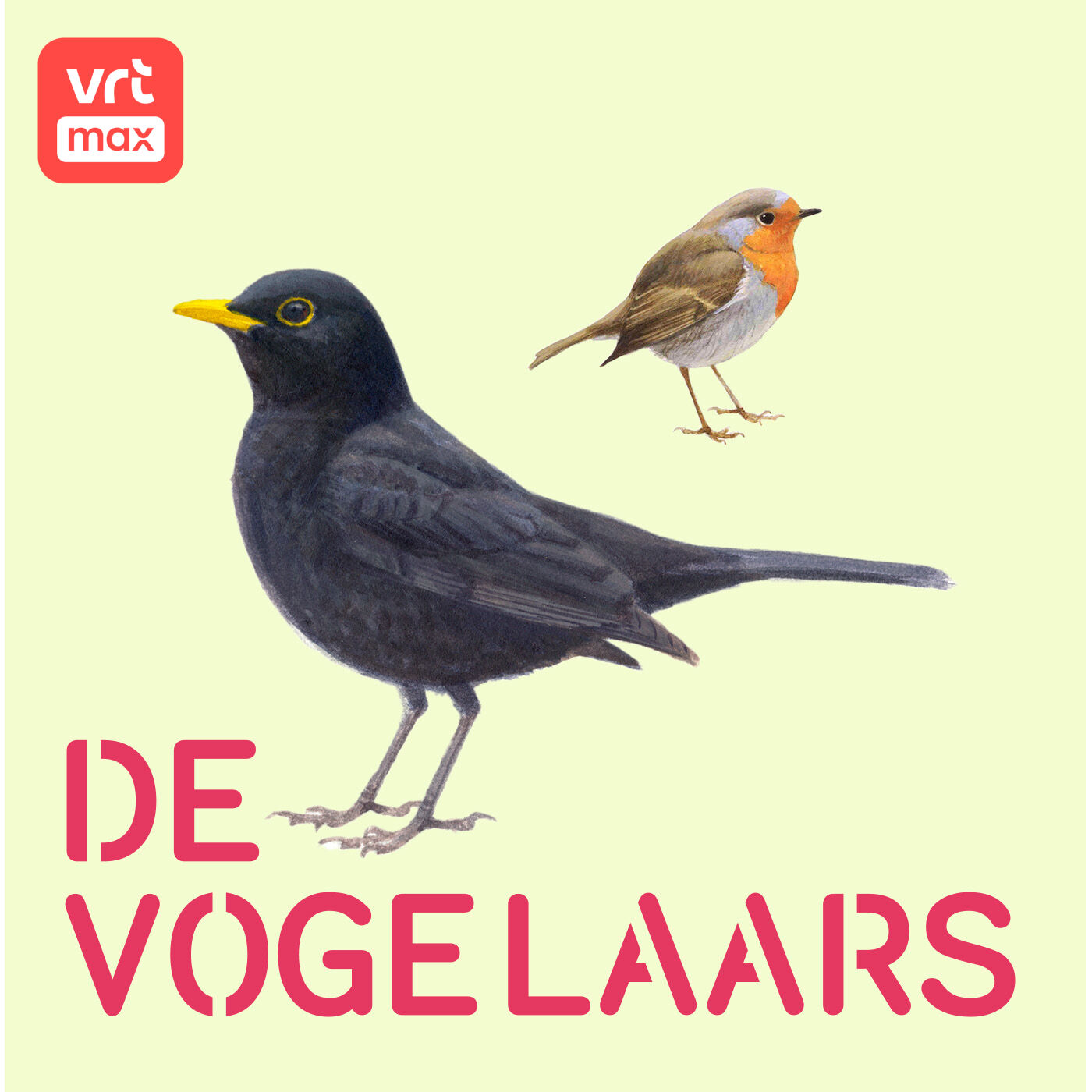 20u: Een fluitconcert in de tuin 20u: Een fluitconcert in de tuin