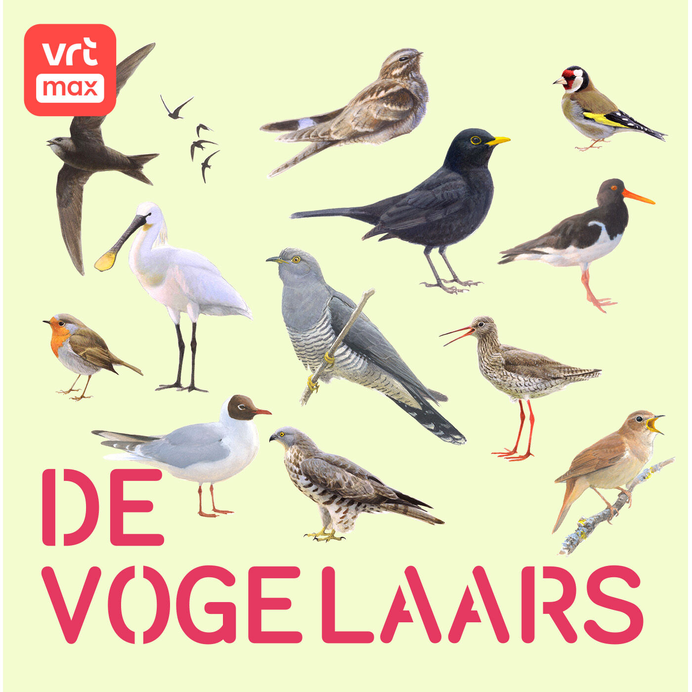 Podcast De Vogelaars