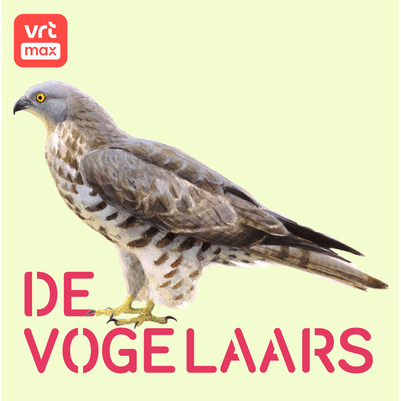 7u: Een nest jonge roofvogels