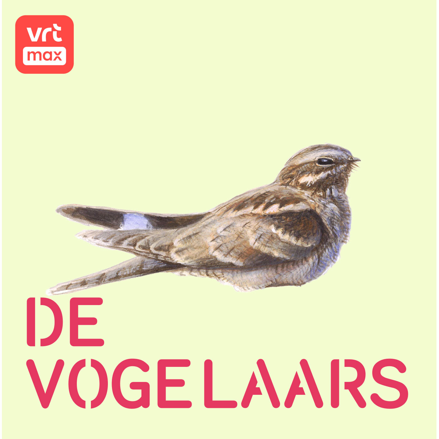 22u: De nachtzwaluw 22u: De nachtzwaluw